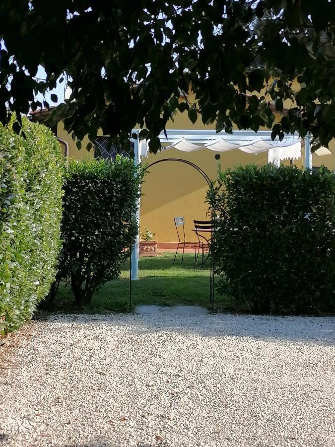 Il Nido Villa Lucca Kültér fotó